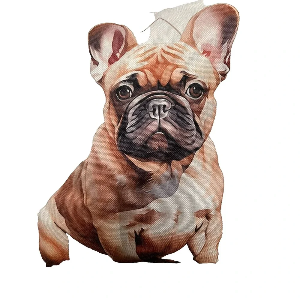 Set Of 4 Dog Throw Pillows